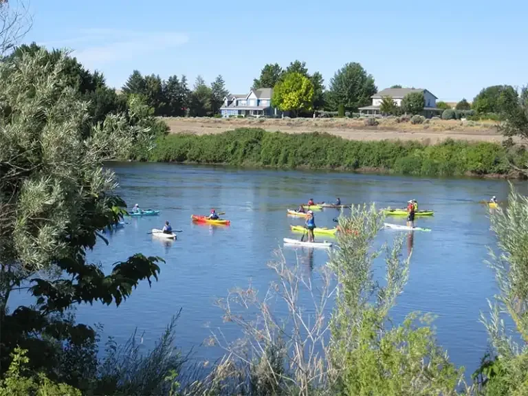 Kayakers paddling on the Tapteal Water Trail